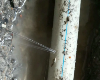 汤旺河卫生间测漏水多少钱