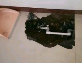 汤旺河卫生间测漏水多少钱