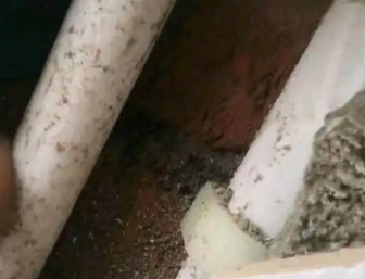 汤旺河卫生间测漏水哪家好